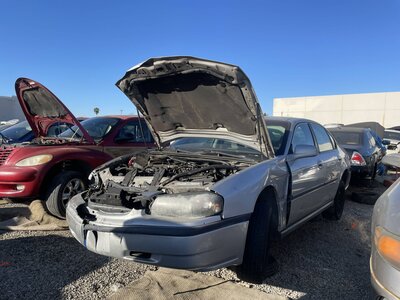 Catalog item POM062945