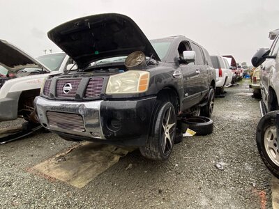 Catalog item SAC046239