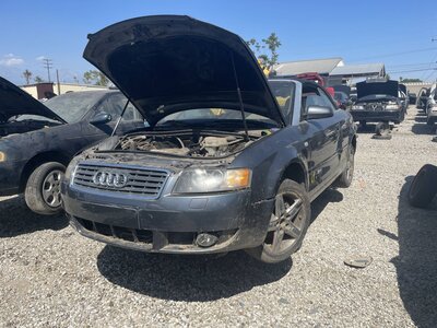 Catalog item POM063796