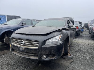 Artículo del catálogo STK055532