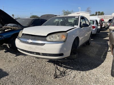 Catalog item POM063263