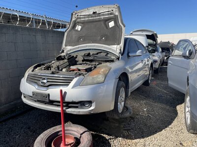 Catalog item POM062975