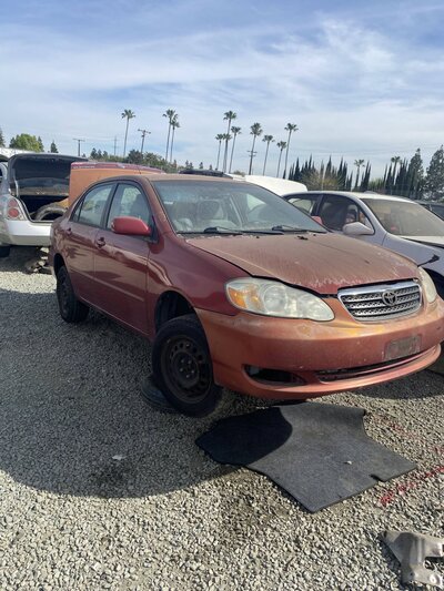 Catalog item SAC047101