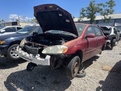 Catalog item POM063892