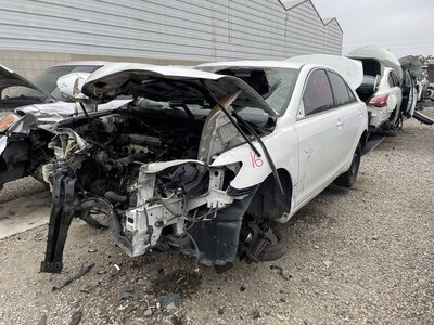 Catalog item POM063067