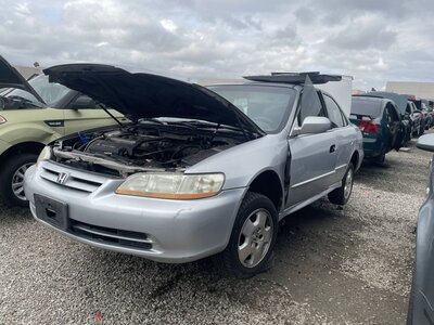 Catalog item POM063667