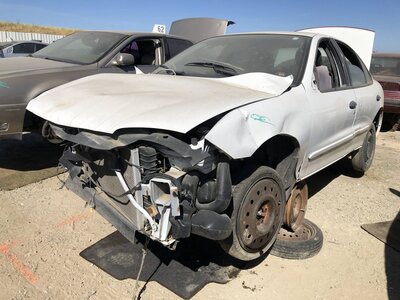 Catalog item FRE112434