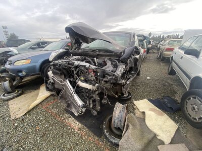 Catalog item SAC042910