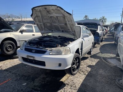 Catalog item POM063334