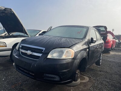 Catalog item POM062024