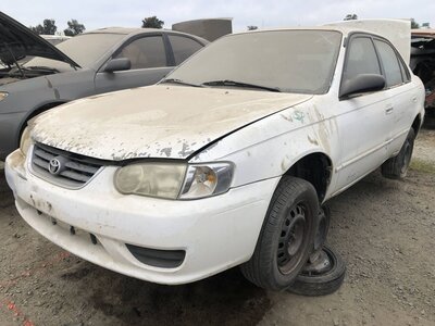 Catalog item FRE112271