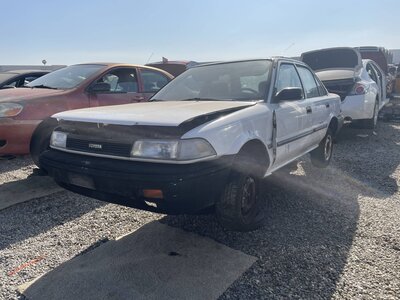 Catalog item POM063509