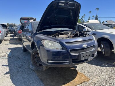 Catalog item SAC048166