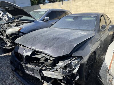 Catalog item POM056839