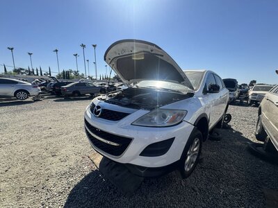 Artículo del catálogo SAC047421