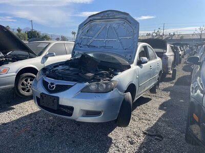 Catalog item POM063578