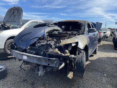 Catalog item POM062578