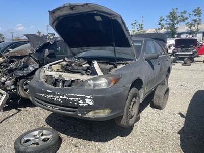 Catalog item POM063765