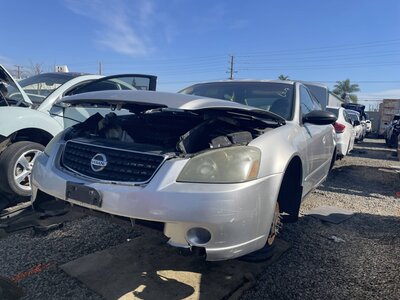 Catalog item POM062353