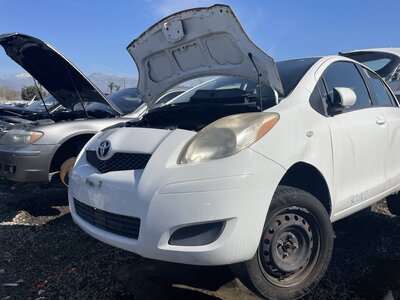 Catalog item POM062457