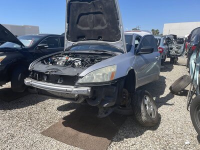 Catalog item POM064161