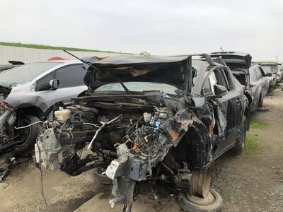 Catalog item FRE107349