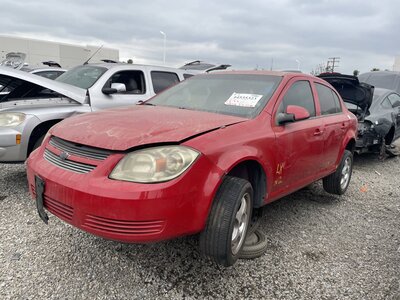 Catalog item POM063568