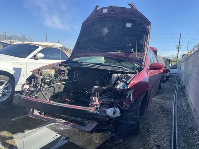 Catalog item POM062351