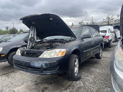 Catalog item POM063414