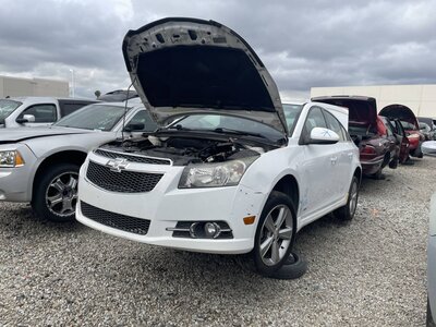 Catalog item POM063654