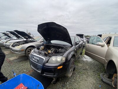 Catalog item SAC046607