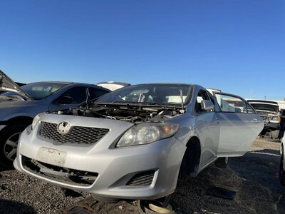 Catalog item POM059883