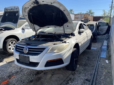 Catalog item POM063266