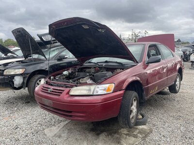 Catalog item POM063656