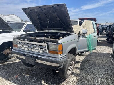 Catalog item POM062877