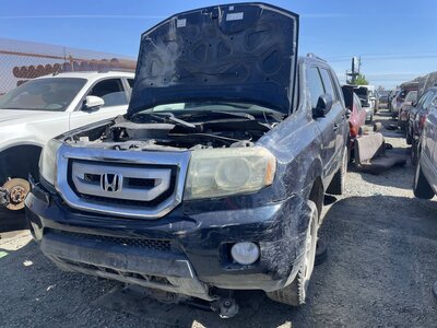 Catalog item STK056780