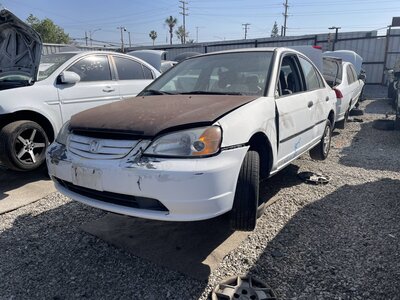 Catalog item POM063486