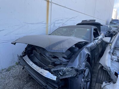 Catalog item POM060221