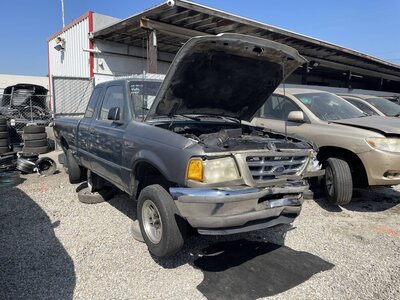 Catalog item POM063446