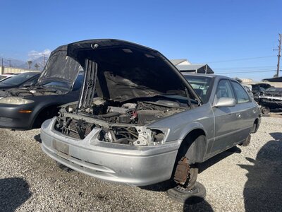 Catalog item POM063069