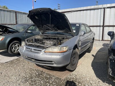 Catalog item POM063420