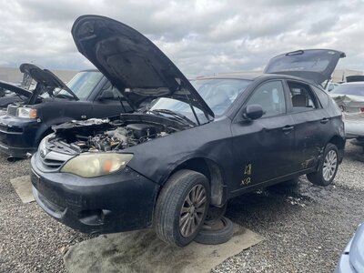 Catalog item POM063636