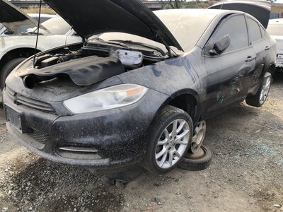 Catalog item FRE111486