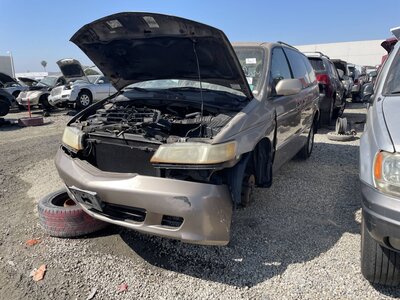 Catalog item POM063374