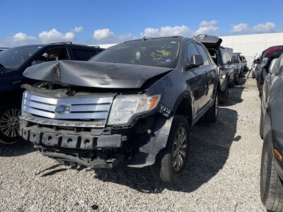 Catalog item POM064043