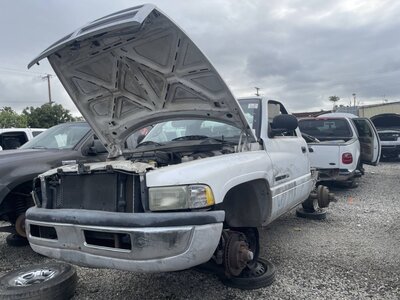 Catalog item POM063418