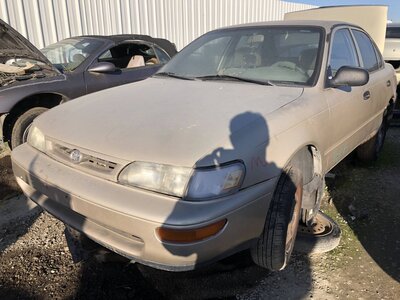 Catalog item FRE111006