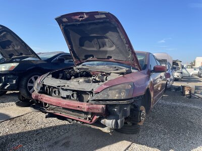 Catalog item POM062799