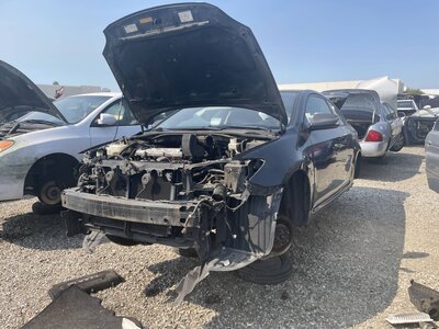 Catalog item POM063751