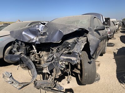 Catalog item FRE111861